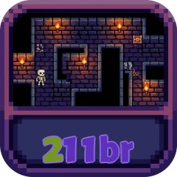 211br