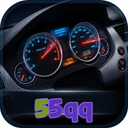 55qq